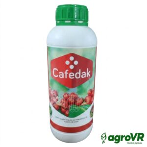 CAFEDAX