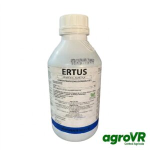 ERTUS