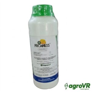 PROMESS
