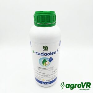 E-CODA-LEO K