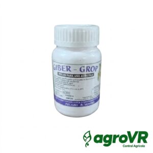 GIBER GROP