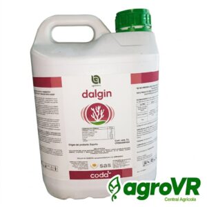 DALGIN