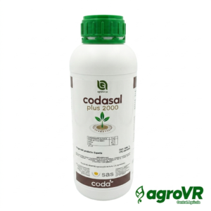 CODASAL PLUS