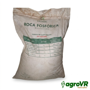 ROCA FOSFORICA