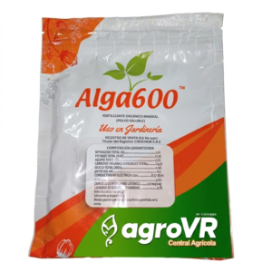 ALGA 600