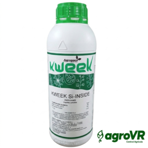 KWEEK SI-INSIDE