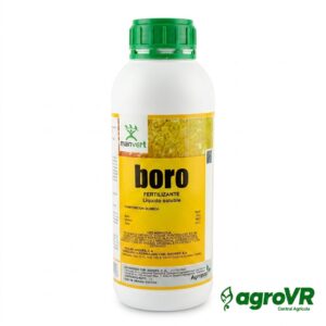 MANVERT BORO