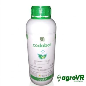 CODABOR