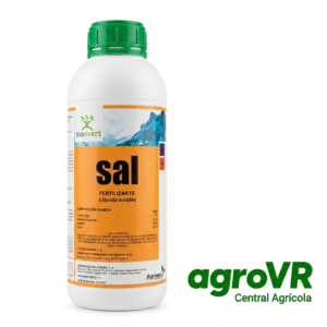 MANVERT SAL